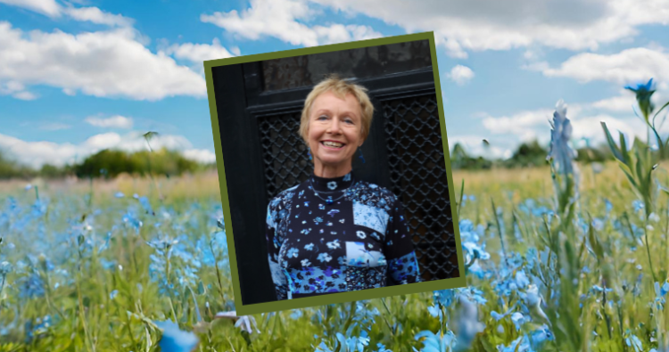 Alle boeken van Sarah Lark op een rijtje