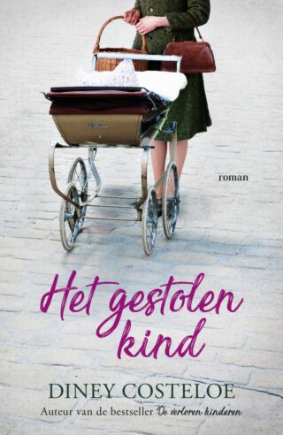 Het gestolen kind
