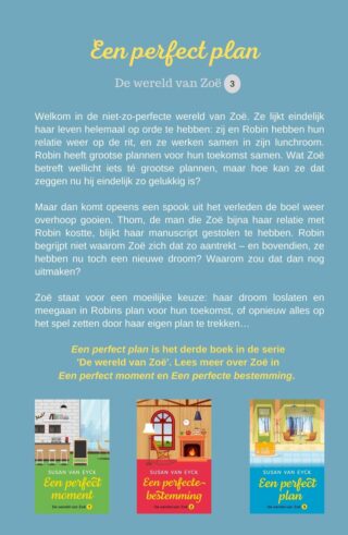 Een perfect plan - achterkant
