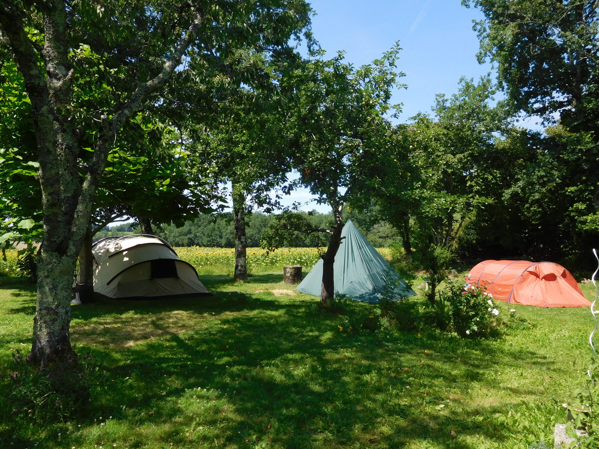 arja veerman camping