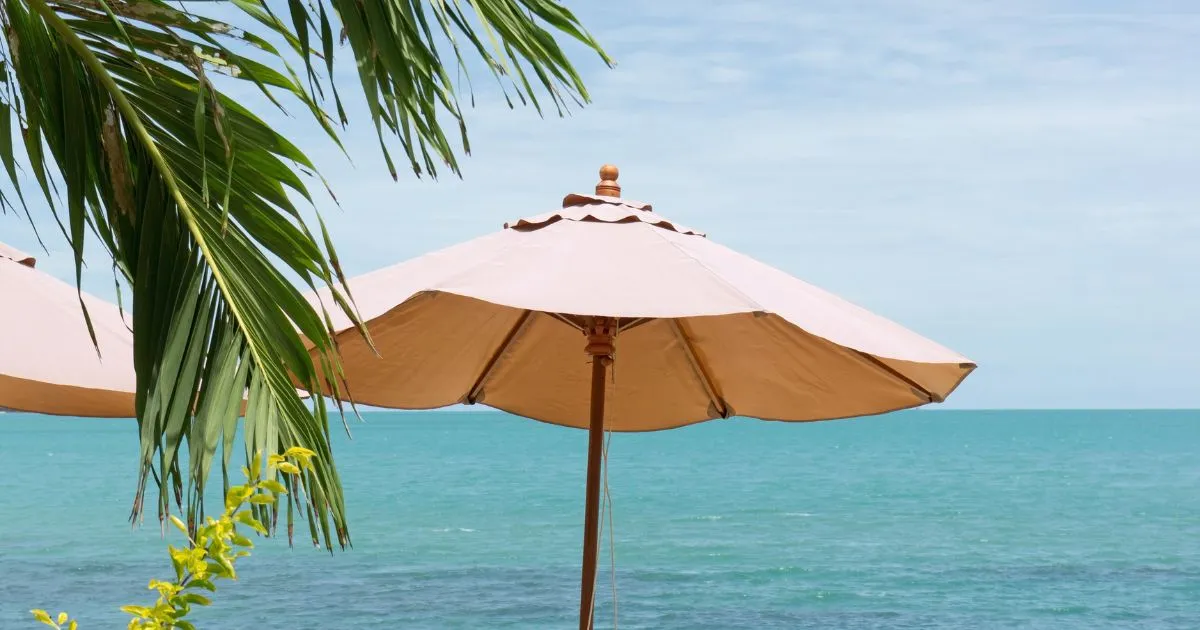Zomerboeken onder de parasol