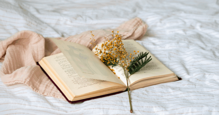 Healing fiction: wat is het en waarom raakt het zoveel lezers?