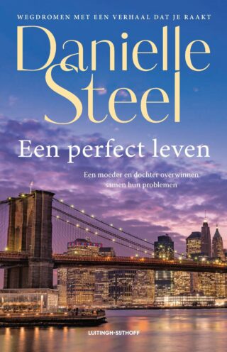 Een perfect leven - cover