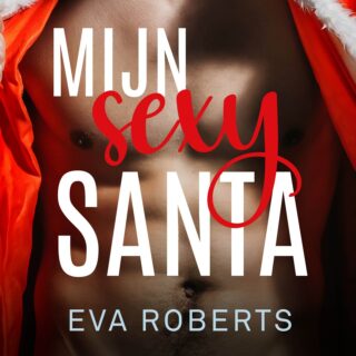 Mijn sexy santa - cover