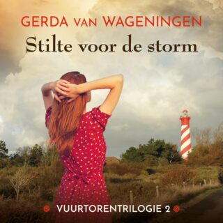 Stilte voor de storm - cover