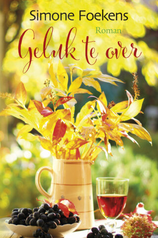 Geluk te over - cover